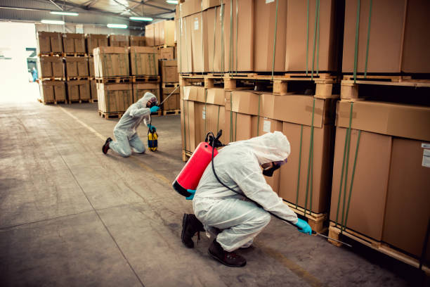Best Wasp Removal Services  in East Palestine, OH