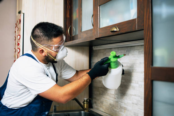 Best Bed Bug Extermination  in East Palestine, OH