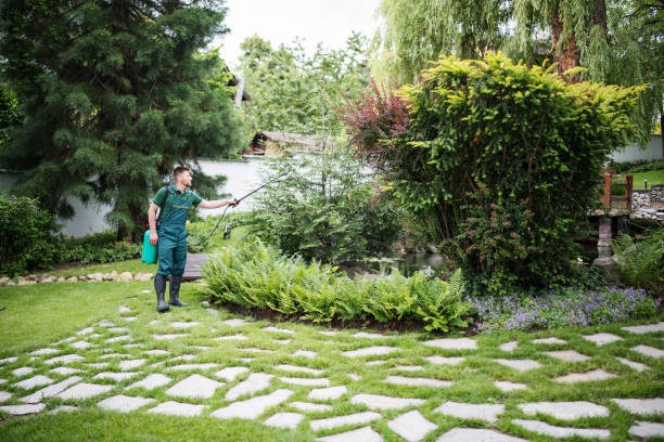 Best Emergency Pest Control  in East Palestine, OH