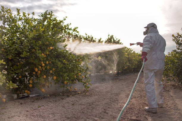 Best Pest Control Near Me  in East Palestine, OH