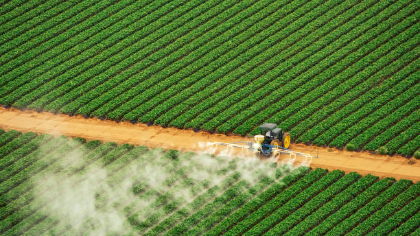 Insect Control in East Palestine, OH