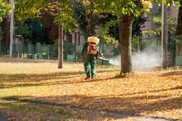 Best Best Pest Control Companies  in East Palestine, OH