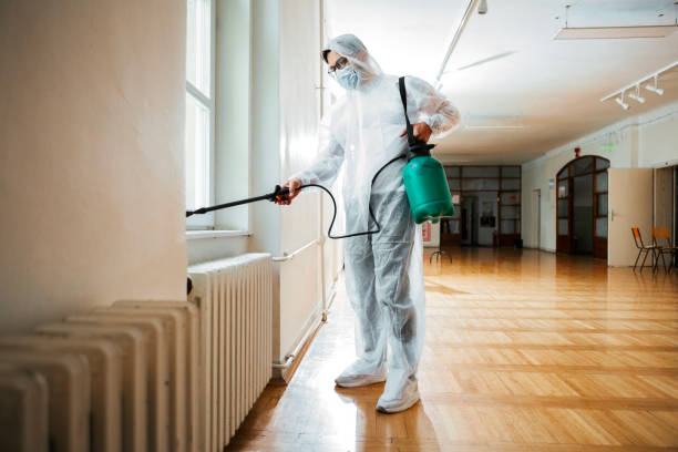 Best Affordable Pest Control Services  in East Palestine, OH