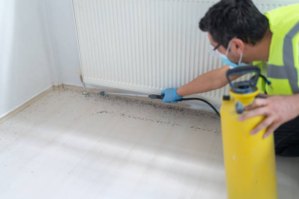 Best Pest Prevention Services  in East Palestine, OH