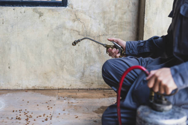 Best Rat Extermination Near Me  in East Palestine, OH